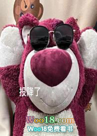 淮安ne30链条哪家好