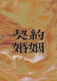 契约婚姻千亿老婆太撩人沈浪苏妙涵全文未删减