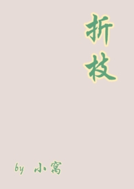 折枝小说作者